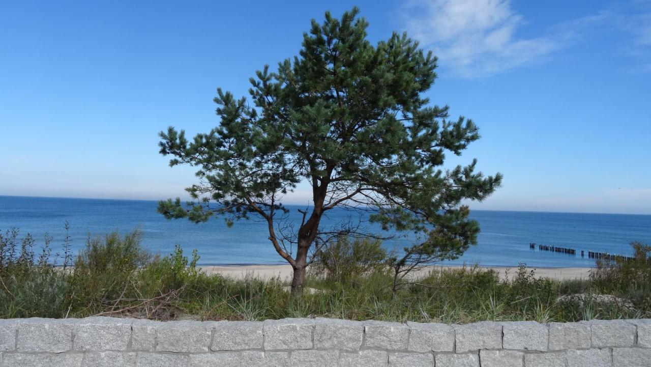 Pokoje Goscinne Muszelka 300 M Do Plazy Mielno  Exteriör bild